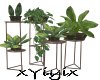 [Y] INDOOR PLANTS SET