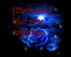 blue rose room