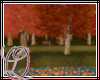 L_O Pink & Orange Park