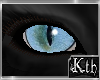 Kth Cat Eyes Rgb
