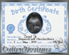 Birth Certificate _Boy_