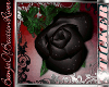 [B]Black Rose~Sticker[2]