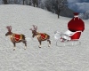 Santa  Sleigh Ride