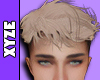 Xyz. Andre Blonde Hair