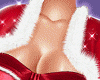 CHRISTMAS  DRESS+ COAT