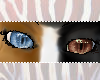 Brown & Blue Cat Eyes