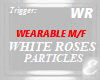 WHITE ROSES, PARTICLES