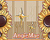 AM* Stars Gold