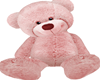 pink teddy