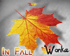 W° In Fall .Leaves