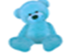 blue teddy