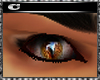 CcC eye #0071