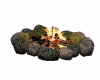 camp fire
