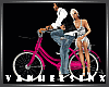 (VH) Bicycle Couple /P