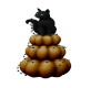 Pumpkin Black Cat