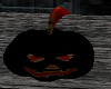 ~VP~ Pumpkin (BlackRed)