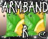 LemonLimeArmband R