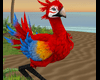 Red Macaw Chocobo