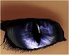 Blue Dragon Eyes