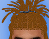 STYLED LOCS GINGER