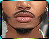 Asteri Beard