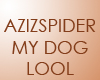 (s3) aziz spider