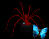 {S}Red Spider Cuddle