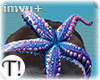 T! Starfish Head Reef
