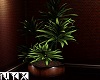 Piano Lounge PottedPlant