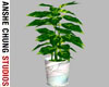 [ACS] POTTED PLANT 2