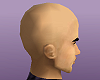 no hair bald head [M]