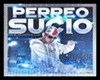Perreo Voice Pack