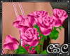 {CSC} Valentine Roses 7P