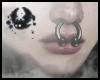!隔cow septum v1