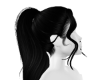 Horse Style Black Hair