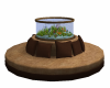 Country seating fishtank