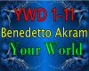 Bendtto Akram Your World