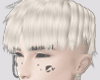 mullet