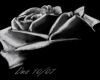 Rose Silhouette