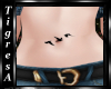 {K} Birds Belly Tattoo 1