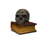 skull and book