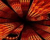 Fire Light 