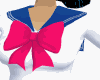 Usagi and Ami's Uniform