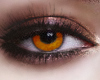 {M}. Cullen Eyes.