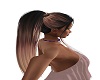 Sky Brown Ponytail