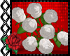 Valentine Roses (White)