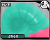 ~Dc) Caracol Big Shell