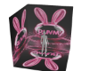 Bunny Misc
