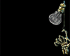 Z* Belly Dancer V. Gold