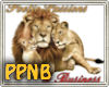 PPNB Family sticker
